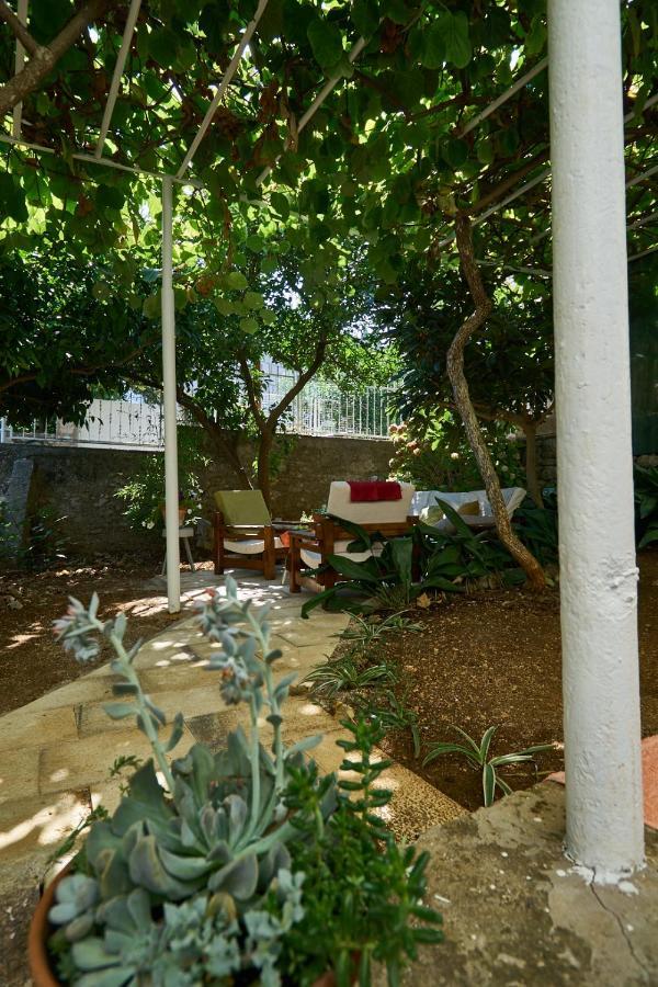 Aspidistra Shadow Apartman Dubrovnik Kültér fotó
