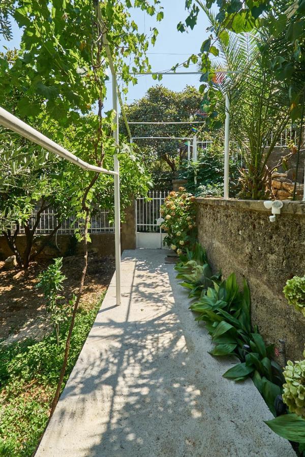 Aspidistra Shadow Apartman Dubrovnik Kültér fotó